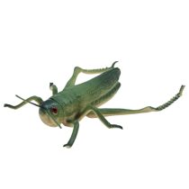 فیگور ناب سل مدل ملخ آفریقایی کد AFRICAN LOCUST NAAB006 ارتفاع 5 سانتیمتر