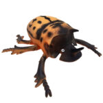 فیگور ناب سل مدل سوسک سرگین غلتان کد DUNG BEETLE NAAB010 ارتفاع 5 سانتی‌متر - تصویر 2